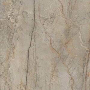 Silver Root